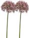 Emerald Allium/Sierui kunstbloem - 2x - losse steel - lila - 62 cm - Natuurlijke uitstraling