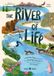 The Amazing Habitats The River of Life