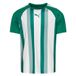 PUMA Maillot de football Teamliga - Vert/blanc, taille Small