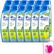 Head & Shoulders 12 x Anti-Roos Shampoo Pure Intense Oil Control 250 ml
