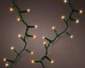 Lumineo LED Compact kerstverlichting groene kabel - warm wit / klassiek warm - 1000 LED lampjes - 22.5 meter