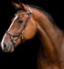 Presteq Frontriem Presteq Shinebright Bruin