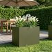 Maison Exclusive - Pot de plante de jardin, vert olive, 60 x 40 x 50 cm, en acier laminé à froid