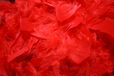 Plumes décoratives rouges, 15 grammes