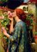 Bluebird Puzzle John William Waterhouse The Soul of the Rose 1000 stukjes