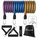 ProsourceFit Premium Heavy Duty Tube Double Dipped Latex Xtreme Stapelbare Weerstandsbanden Set 20 tot 50 lbs met deuranker en oefenkaart Full-Body Oefeningen en Thuistrainingen