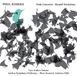 Outhere Dacapo Records Ruders: Viola Concerto - Variations (CD)