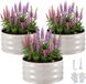 VEVOR Metalen Verhoogd Tuinbed, 3-Delige Set, Φ60x30 cm, Rond Tuinbed, Plantenbakset voor Buiten, Groentebed met Handschoenen, Bloembed Zonder Bodem, Plantbed voor Bloemen, Kruiden & Groenten, Beige