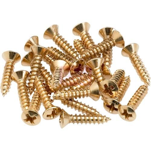 Fender slagplaat schroeven goud 24 stuks
