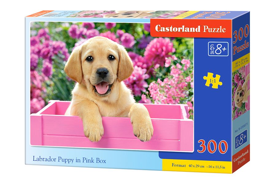 Castorland Labrador Puppy in Pink Box - 300 stukjes