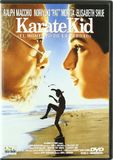 Karate Kid (Import DVD) (2001)