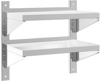 vidaXL Wandschap 2-laags 50x30x48 cm roestvrijstaal zilverkleurig