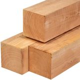 Merkloos Tuindeco Paal douglas 20,0x20,0x600 cm