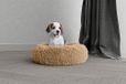 Italian Bed Linen Dreams Sogni e Capricci Pets, zacht polyester, vanille, 50 x 50 cm