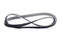 CONTITECH 7DPK1884 V-geribbelde riem.