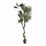 Loberon Sierpotplant Dambly groen