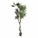 Loberon Sierpotplant Dambly groen