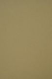 Netuno - Groen Ecologisch Papier - A4 - 250 gram - 10 Vellen - Crush Olive