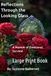 Reflections Through the Looking Glass: A Memoir of Emotional Survival: Large Print