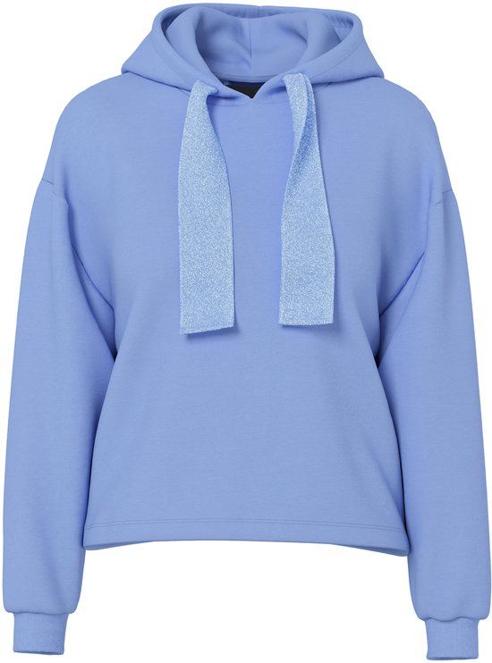 PIECES - PCCHILLI LS GLITTER HOODIE NOOS BC - Meisjes - L - Katoen/Polyester - Hydrangea