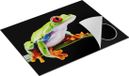 Chefcare Inductie Beschermer Kikker met Rode Ogen op een Plant - 77x59 cm - Multicolor