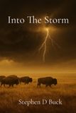 Into Libri GmbH Into The Storm Paperback