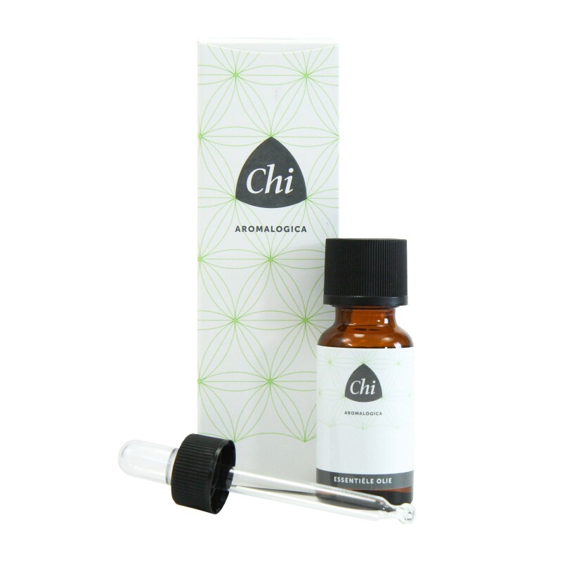 Chi Olie Wintergreen Wild 10ml