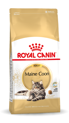 Royal Canin Breed Maine Coon Adult