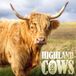 ML Publishing Calendrier 2027 Highland Cattle