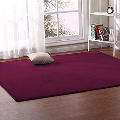 JI Koraal Fleece Tapijt Woonkamer Slaapkamer Koffietafel Bank Badkamer Nachtkastje Tapijt Matten Tatami Yoga Deken Baby Rug-5_200cm x300cm