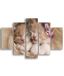 Homemania Feline-afbeelding, 5 dieren per woonkamer, meerkleurig, 95 x 0,3 x 60 cm, HM205MDF067, MDF