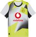 PUMA Borussia Dortmund 25/26 uitshirt voor Heren, Geel/Zilver, Maat L