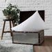 DODO Set van 2 kussens, 50 x 70 cm, medium comfort, synthetisch Taiga