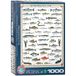 Zoetwatervis Eurographics Zoetwatervis puzzel van 1000 stukjes