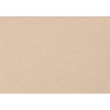 Clairefontaine GMB107Z Pakket Goldline Gecacheerd Karton - 10 Gecacheerde Vellen met Ivoor Kern - Taupe - 1,25 mm A1 59,4x84 cm - Ideaal voor Inlijsten