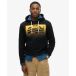 Superdry Sweat à capuche Vintage Box Gradient