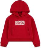 Levi's® Kids Meet And Greet Seasonal Hoodie Deep Claret 4 Years Meisje