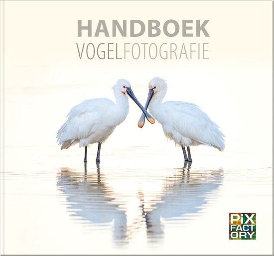 Handboek Vogelfotografie - Handboeken Natuurfotografie 1 | Daan Schoonhoven