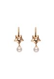 NAEMI Leo E-Commerce Ltd. NAEMI Oorhangers Vrouwen Ros Multi 4 cm