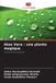Aloe Editions Notre Savoir Aloe Vera: une plante magique: Informations pratiques