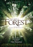 Remain In Light Once upon a forest (Vlaamse versie) (DVD)