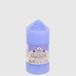 La Briantina Decoratieve geurkaars Dream Line, 11 x 5 cm, violet, geur Jacinthe