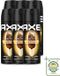 Axe 6 x Déodorant Bodyspray Magnum Gold Caramel Billionaire - 150 ml