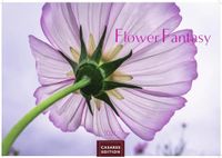 Flower Casares Fine Art Edition Flower Fantasy Kalender 2027 - Wandkalender | Fotokalender Naturkalender | Blumenkalender | 35x50cm