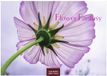 Flower Casares Fine Art Edition Flower Fantasy Kalender 2027 - Wandkalender | Fotokalender Naturkalender | Blumenkalender | 35x50cm