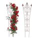 Merkloos / Sans marque Relaxdays Planten Klimrek - Set van 2 - 115 x 32 cm - Metaal - Bruin