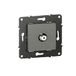 Legrand BTAL41CD TV stopcontact, eenvoudig, type F, om vast te schroeven, Altège-Finition Wolk -BTAL41CD, wolk