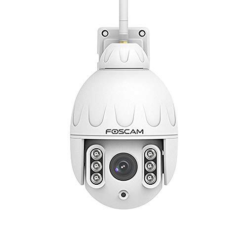 Foscam SD2 PTZ Dome bewakingscamera, 12 V