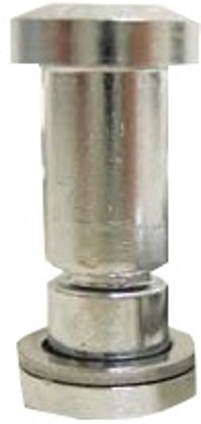 Bofix Zadelpenbout Race Inbus M6-22 Mm Per 6 Stuks