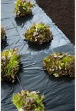 Nature Anti-wiernetten